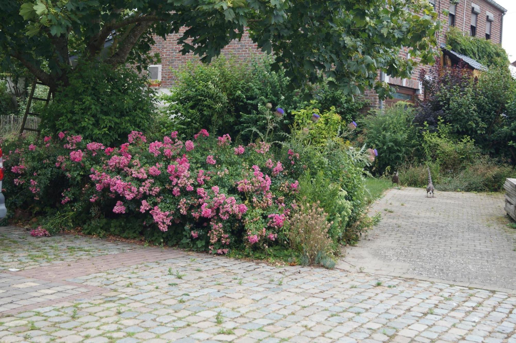 La Petite Maison Sart lez Walhain Kültér fotó